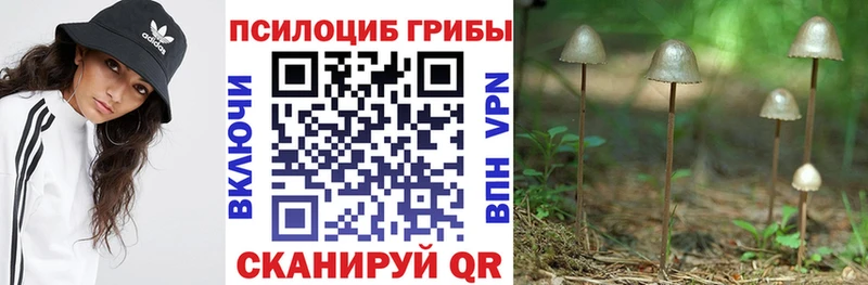 Галлюциногенные грибы MAGIC MUSHROOMS Пестово