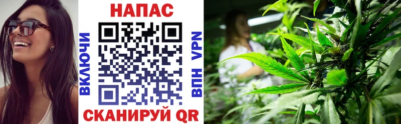 Марихуана гибрид  Пестово 